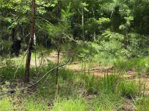 0 Old Lowgap Rd, Lowgap, NC 27024 photo 6