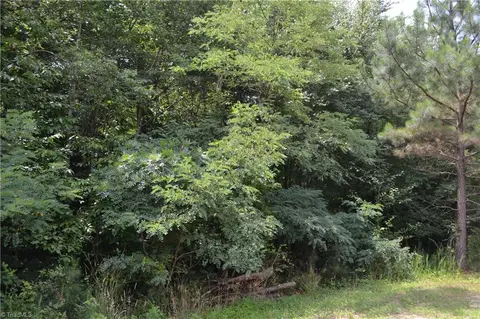 lot00 Ponderosa Rd, Stoneville, NC 27048