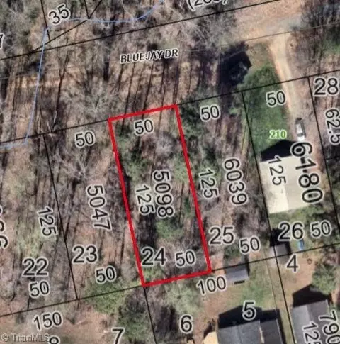 00 Blue Jay Dr, Lexington, NC 27292