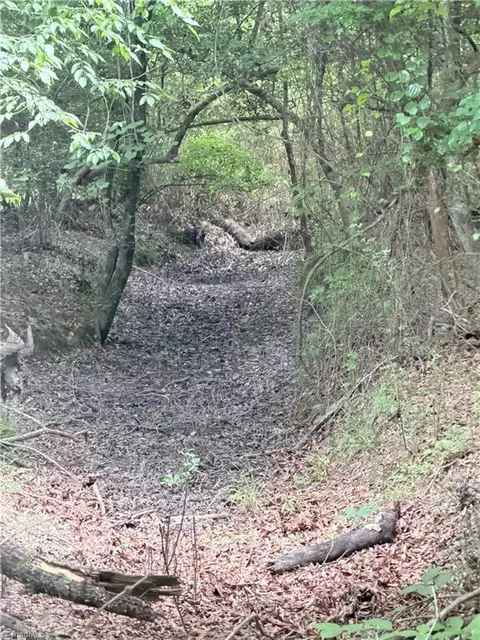 tbd Tract A Bellview Rd, Robbins, NC 27325 photo 6