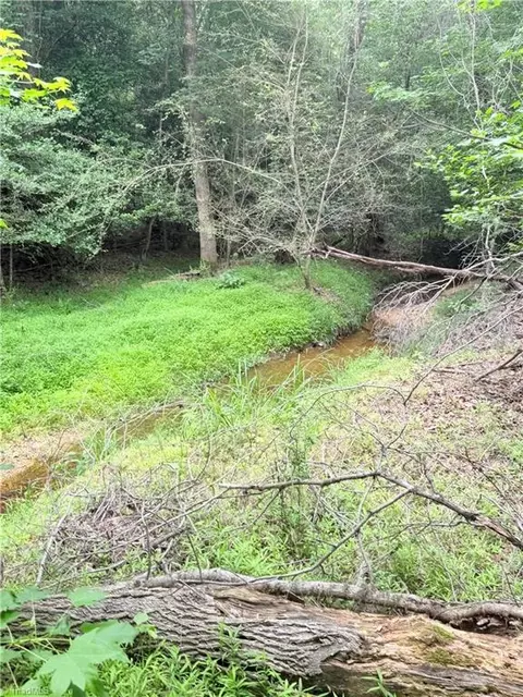 tbd Tract A Bellview Rd, Robbins, NC 27325 photo 4