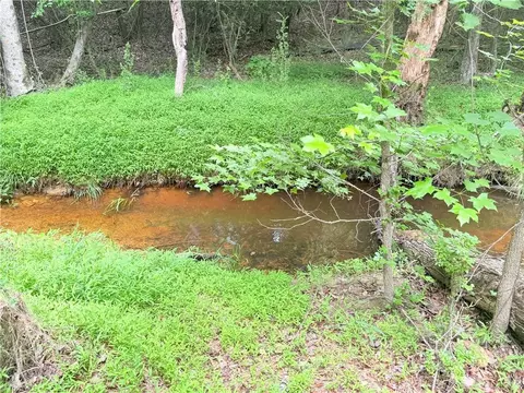 tbd Tract A Bellview Rd, Robbins, NC 27325 photo 5