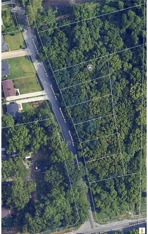 1007 Beaumont Ave, Greensboro, NC 27401
