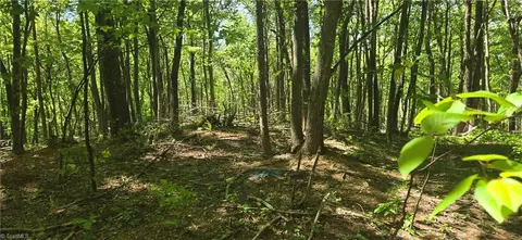 00 Goose Creek Ln, Ararat, VA 24053