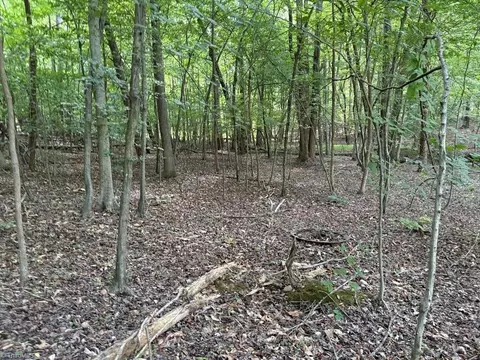 0 Cure Dr, Madison, NC 27025 photo 9