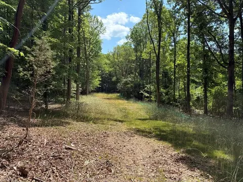 0 Cure Dr, Madison, NC 27025 photo 8