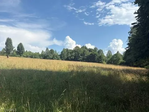 4519 Walkaway Pl, Boomer, NC 28606