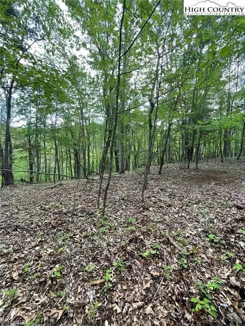 tbd Edwin Blevins Rd, Jefferson, NC 28640 photo 2