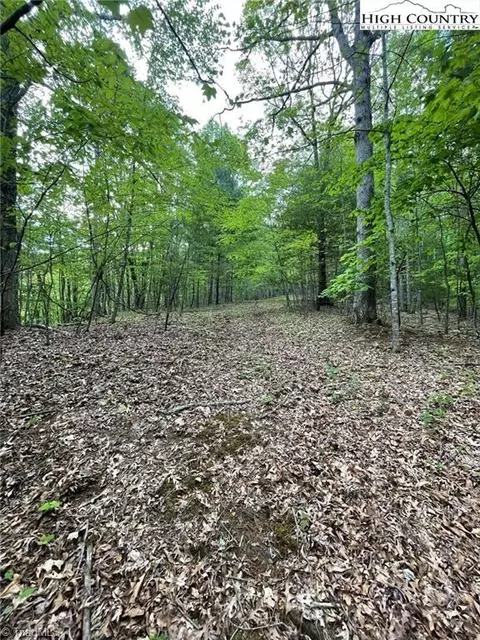 tbd Edwin Blevins Rd, Jefferson, NC 28640 photo 11