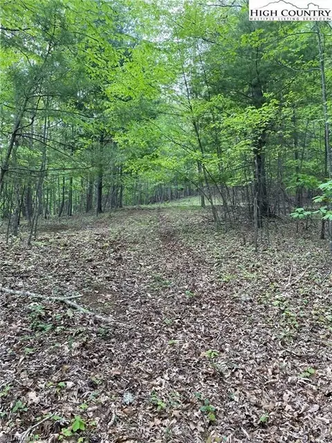 tbd Edwin Blevins Rd, Jefferson, NC 28640 photo 3