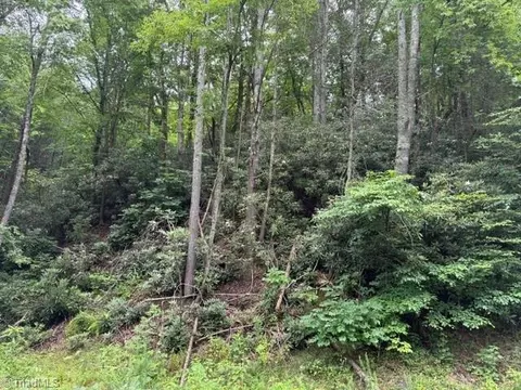 0 Shell Creek Rd, Ferguson, NC 28624 photo 9
