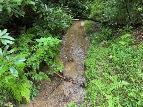 0 Shell Creek Rd, Ferguson, NC 28624 photo 7