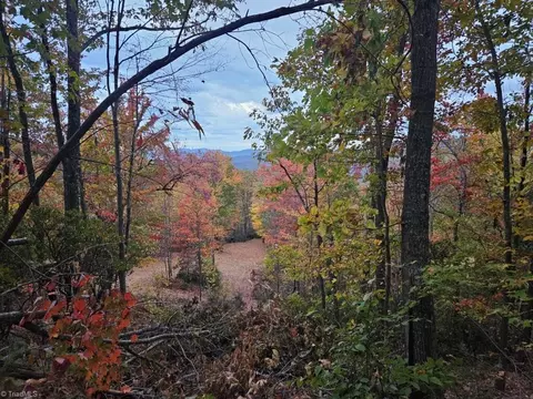 0 Shell Creek Rd, Ferguson, NC 28624 photo 4