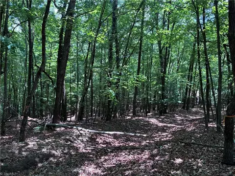 00 Breakaway Dr, Mcgrady, NC 28649 photo 6