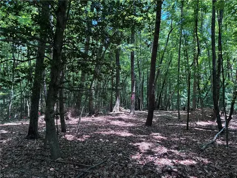 00 Breakaway Dr, Mcgrady, NC 28649 photo 10