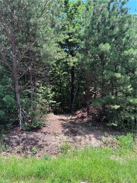 00 Breakaway Dr, Mcgrady, NC 28649 photo 4