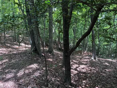 00 Breakaway Dr, Mcgrady, NC 28649 photo 11