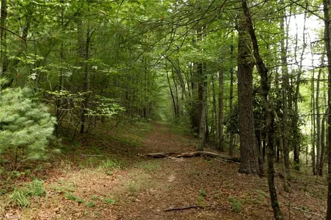 Other - tbd Mcintosh Dr, Lowgap, NC 27024 photo 9 of 30