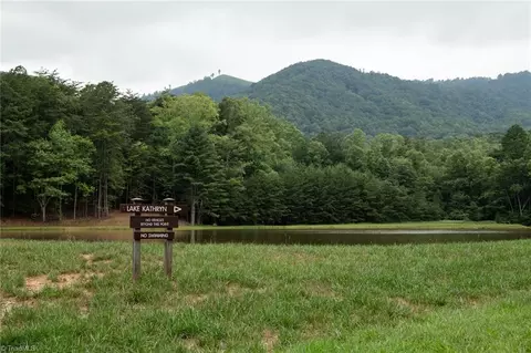 Other - tbd Mcintosh Dr, Lowgap, NC 27024 photo 20 of 30