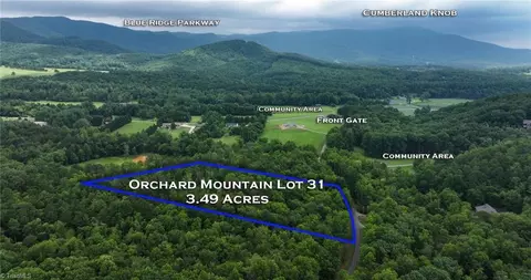 View/Area - tbd Mcintosh Dr, Lowgap, NC 27024 photo 5 of 6