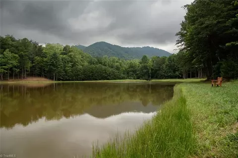 View/Area - tbd Mcintosh Dr, Lowgap, NC 27024 photo 3 of 6