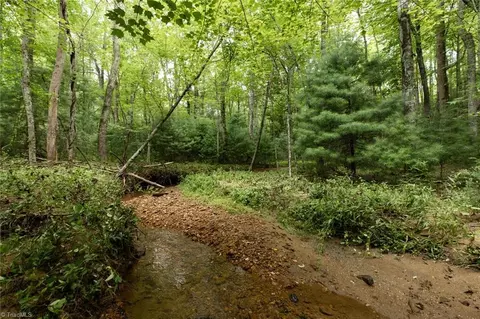 Other - tbd Mcintosh Dr, Lowgap, NC 27024 photo 6 of 30