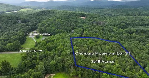 View/Area - tbd Mcintosh Dr, Lowgap, NC 27024 photo 4 of 6