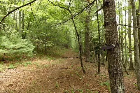 Other - tbd Mcintosh Dr, Lowgap, NC 27024 photo 8 of 30