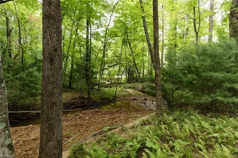 Exterior - tbd Mcintosh Dr, Lowgap, NC 27024 photo 1 of 14