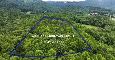 Other - tbd Mcintosh Dr, Lowgap, NC 27024 photo 28 of 30
