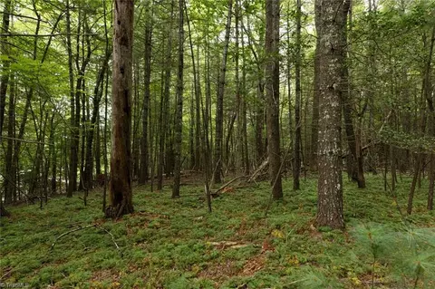 Other - tbd Mcintosh Dr, Lowgap, NC 27024 photo 12 of 30