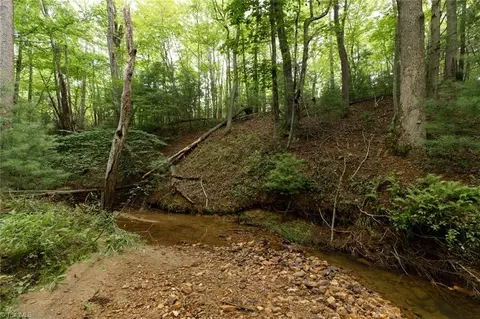Other - tbd Mcintosh Dr, Lowgap, NC 27024 photo 13 of 30