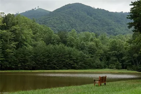 View/Area - tbd Mcintosh Dr, Lowgap, NC 27024 photo 2 of 6