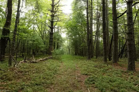 Other - tbd Mcintosh Dr, Lowgap, NC 27024 photo 11 of 30