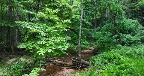Other - tbd Mcintosh Dr, Lowgap, NC 27024 photo 29 of 30