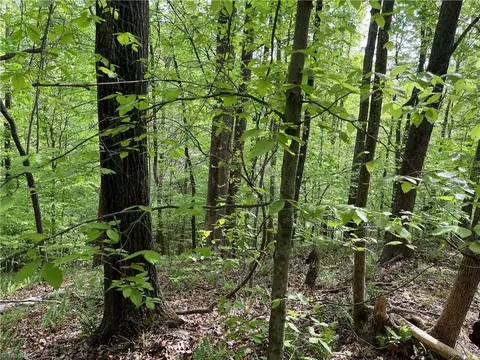 0 Sheets Trl, Germanton, NC 27019 photo 5