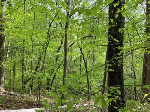 0 Sheets Trl, Germanton, NC 27019 photo 3