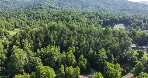 tbd Boone Trl, Purlear, NC 28665 photo 13