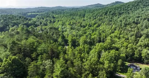 tbd Boone Trl, Purlear, NC 28665 photo 15