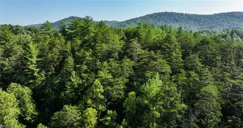 tbd Boone Trl, Purlear, NC 28665 photo 10