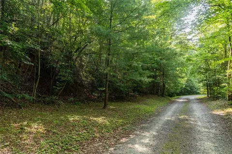 tbd Boone Trl, Purlear, NC 28665 photo 6