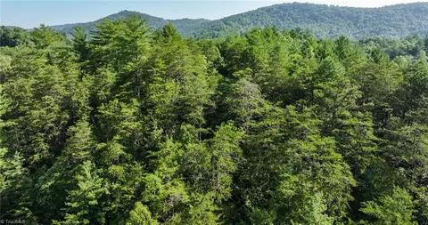 tbd Boone Trl, Purlear, NC 28665 photo 11