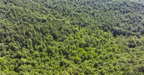 0000 Boone Trl, Purlear, NC 28665 photo 36