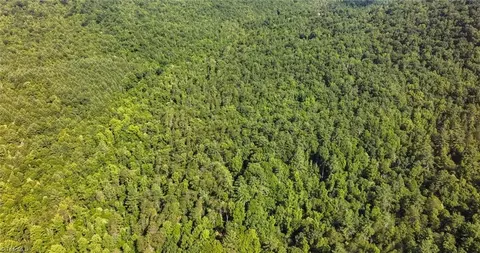0000 Boone Trl, Purlear, NC 28665 photo 19