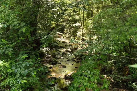 0000 Boone Trl, Purlear, NC 28665 photo 2