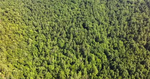 0000 Boone Trl, Purlear, NC 28665 photo 9