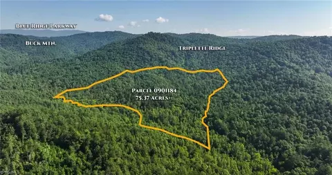 0000 Boone Trl, Purlear, NC 28665 photo 1