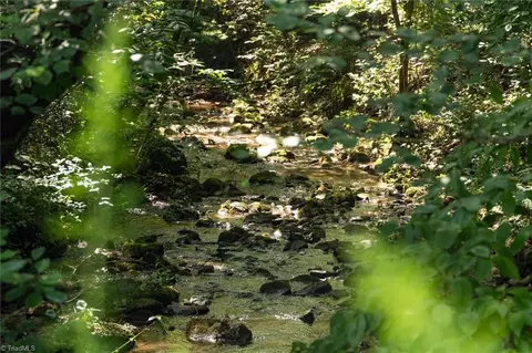 0000 Boone Trl, Purlear, NC 28665 photo 13