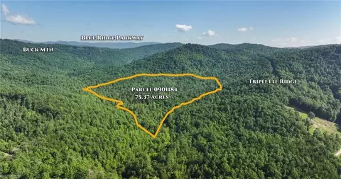 0000 Boone Trl, Purlear, NC 28665 photo 6