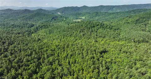 0000 Boone Trl, Purlear, NC 28665 photo 10
